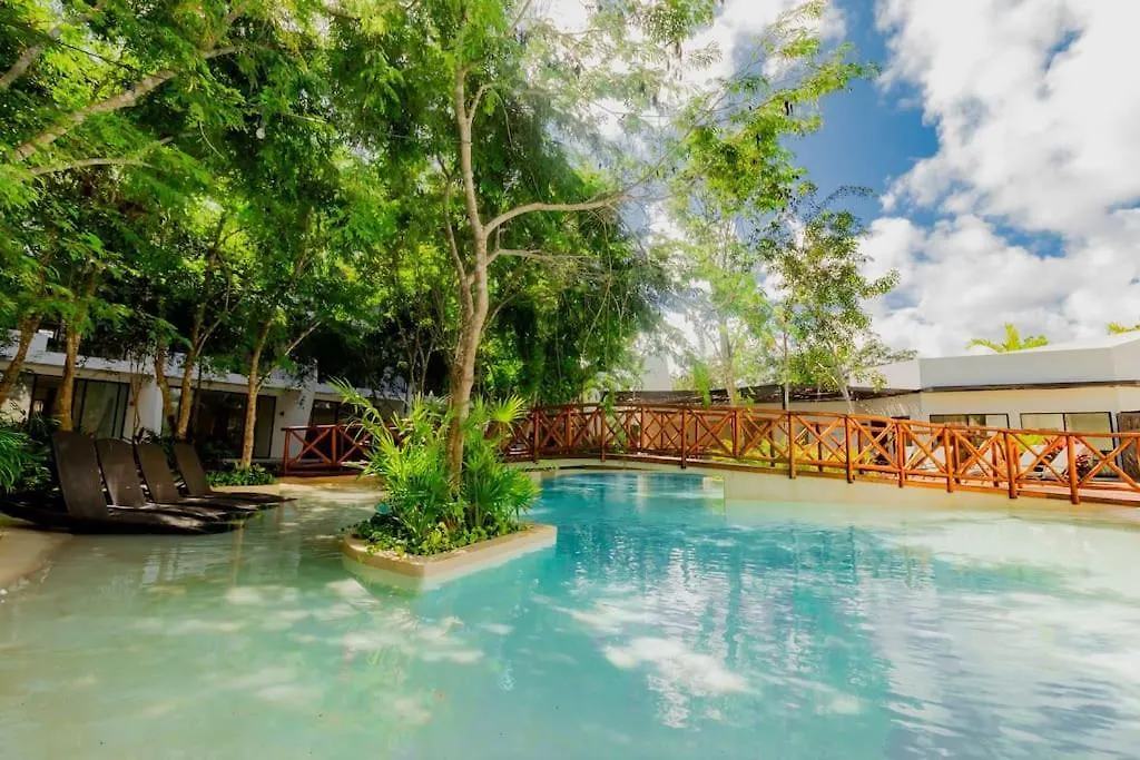 Near Beach+Jungle Views. King Bed+220 Megs+2 Bikes Tulum Apartment