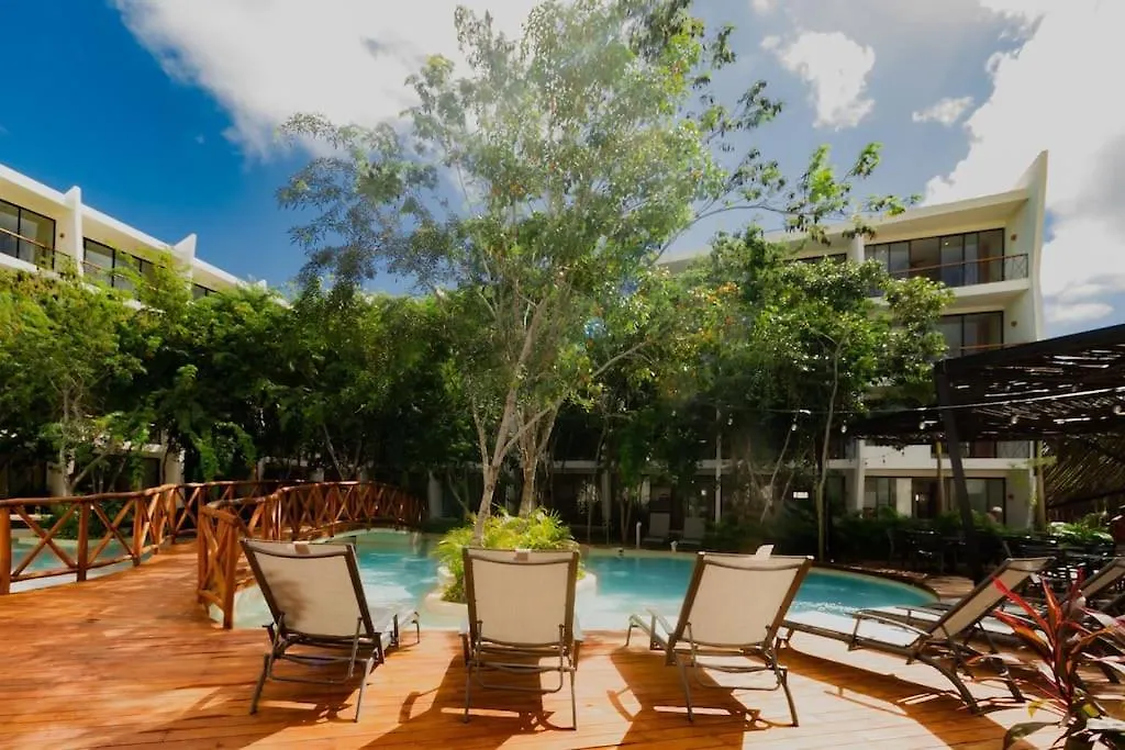 Apartment Near Beach+Jungle Views. King Bed+220 Megs+2 Bikes Tulum