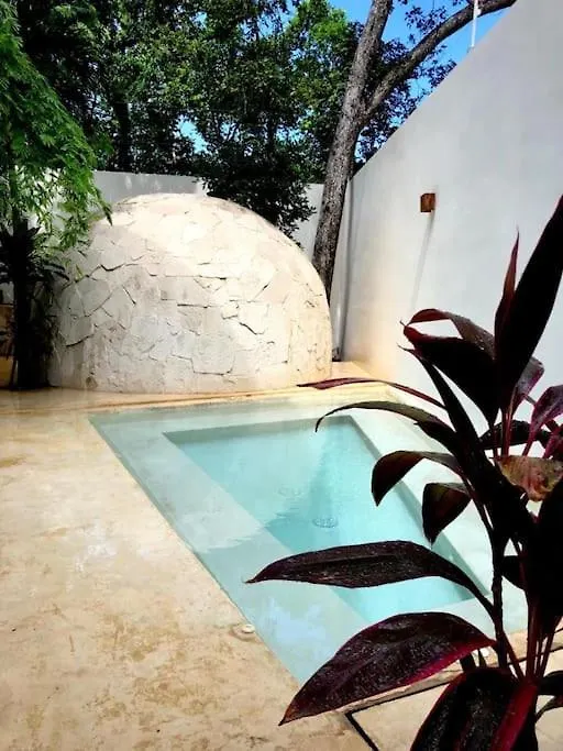 Near Beach+Jungle Views. King Bed+220 Megs+2 Bikes Tulum Mexico