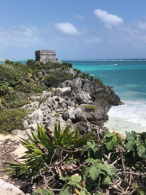 Near Beach+Jungle Views. King Bed+220 Megs+2 Bikes Tulum 0*,  Mexico