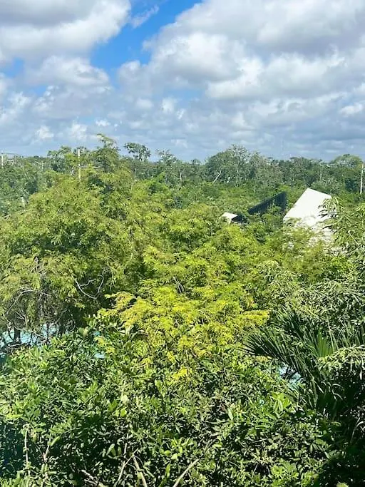 Near Beach+Jungle Views. King Bed+220 Megs+2 Bikes Tulum