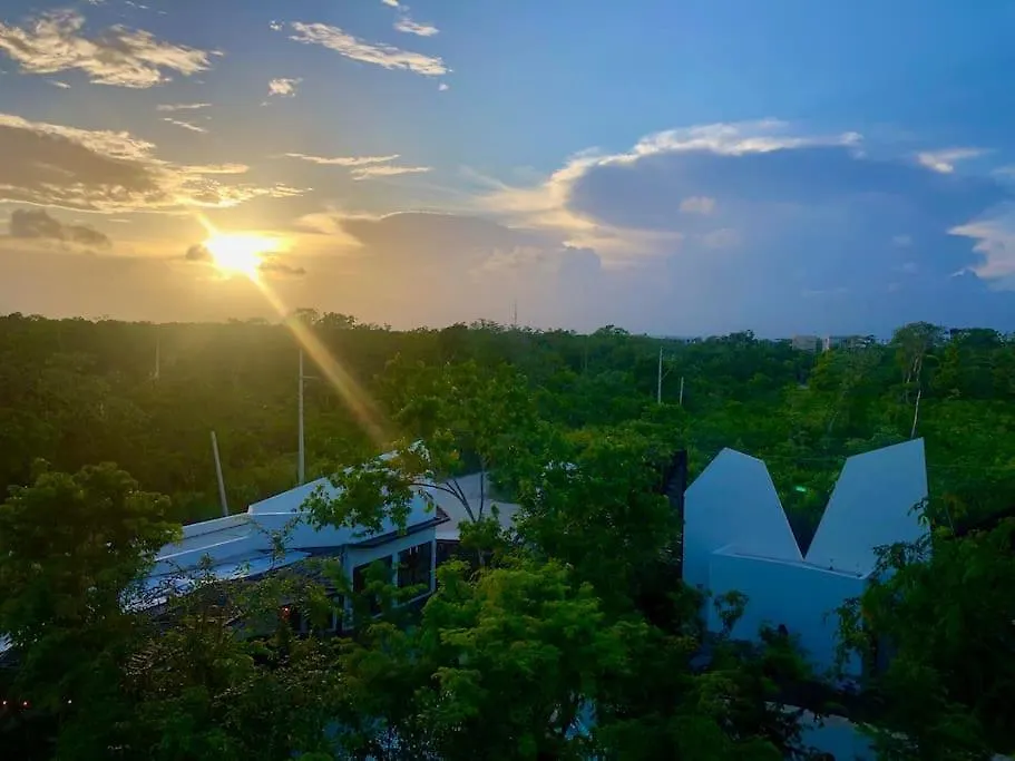 Apartment Near Beach+Jungle Views. King Bed+220 Megs+2 Bikes Tulum